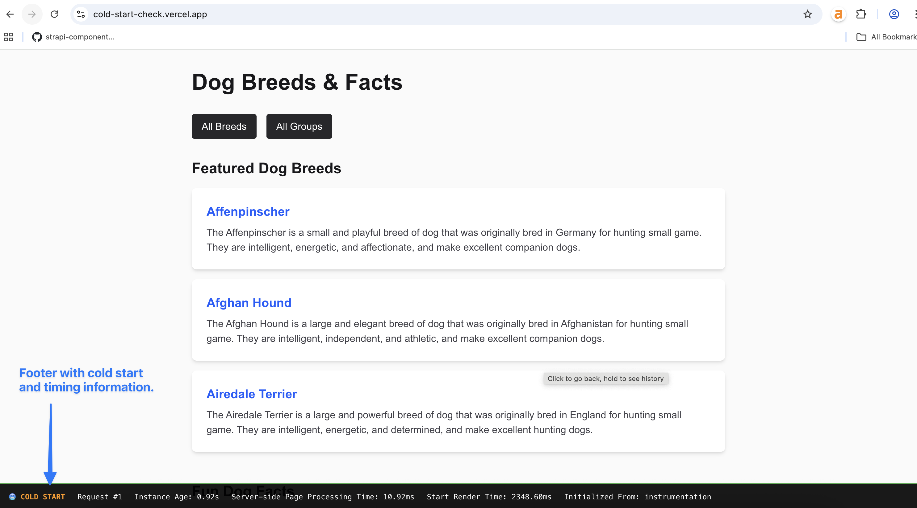 The footer for every page displays cold start and timing information